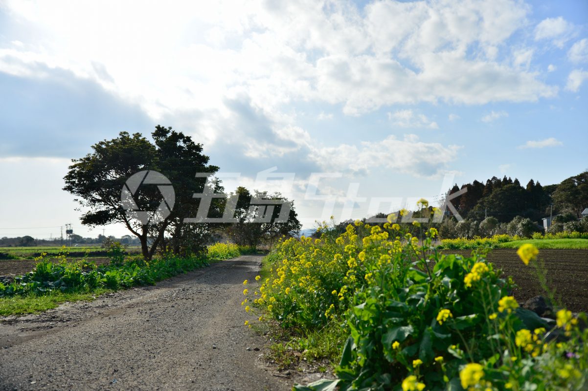 五島Stock