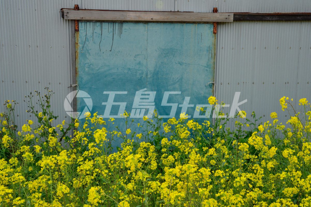 五島Stock