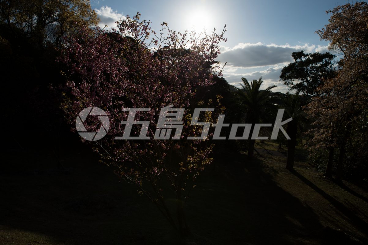 五島Stock