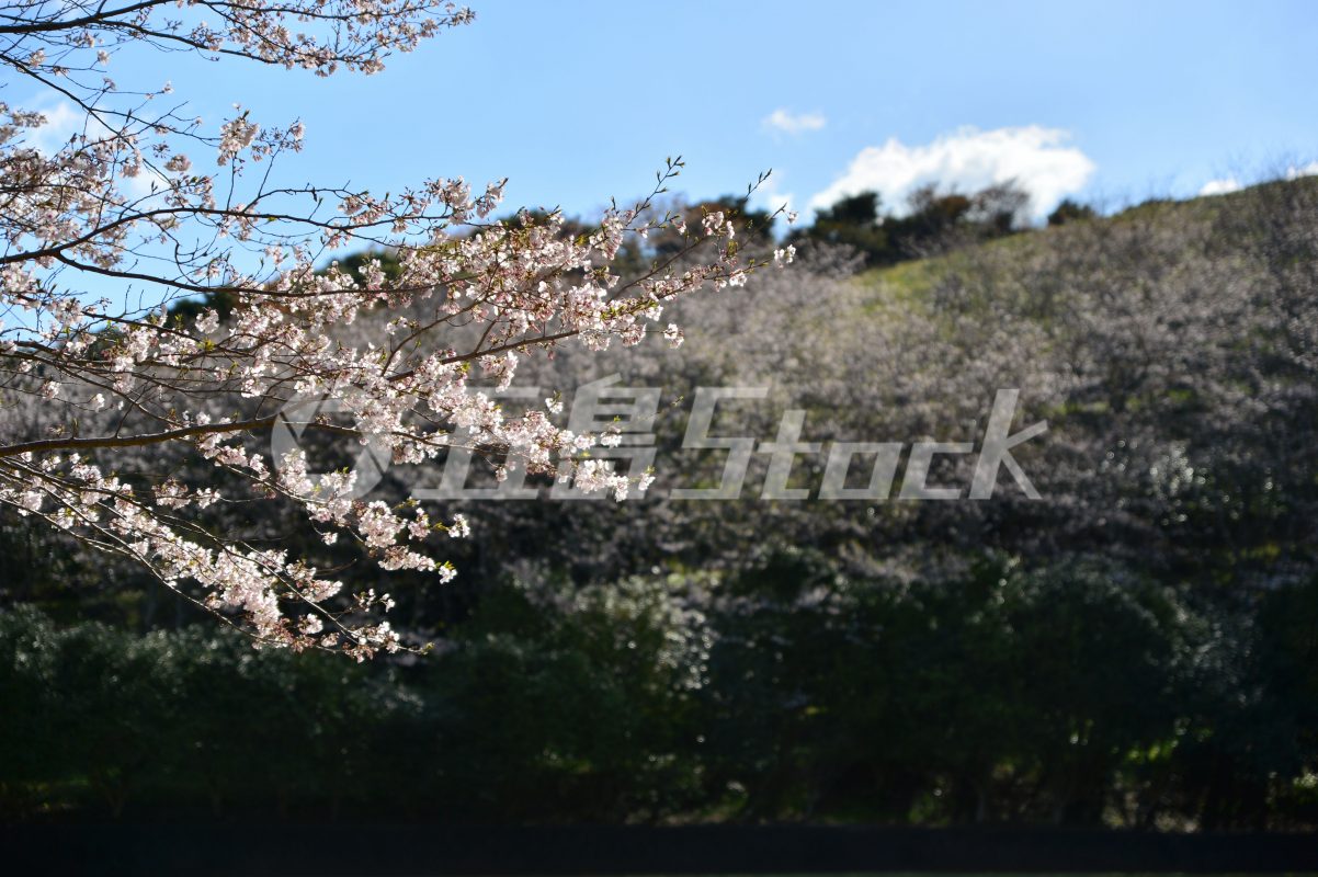 五島Stock
