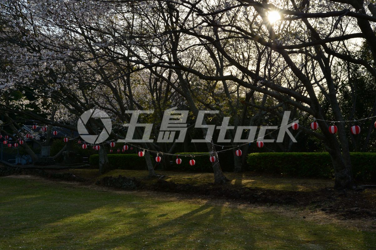 五島Stock