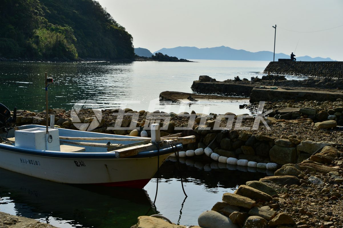 五島Stock