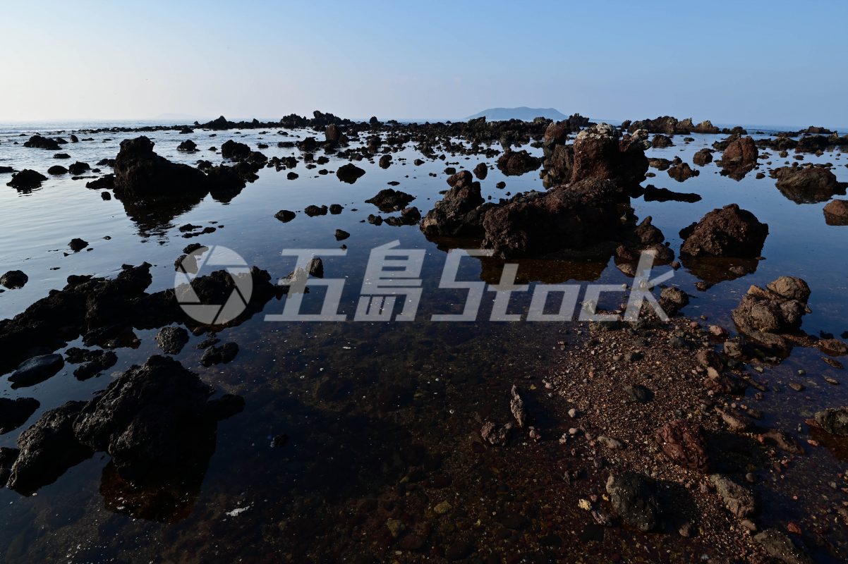 五島Stock