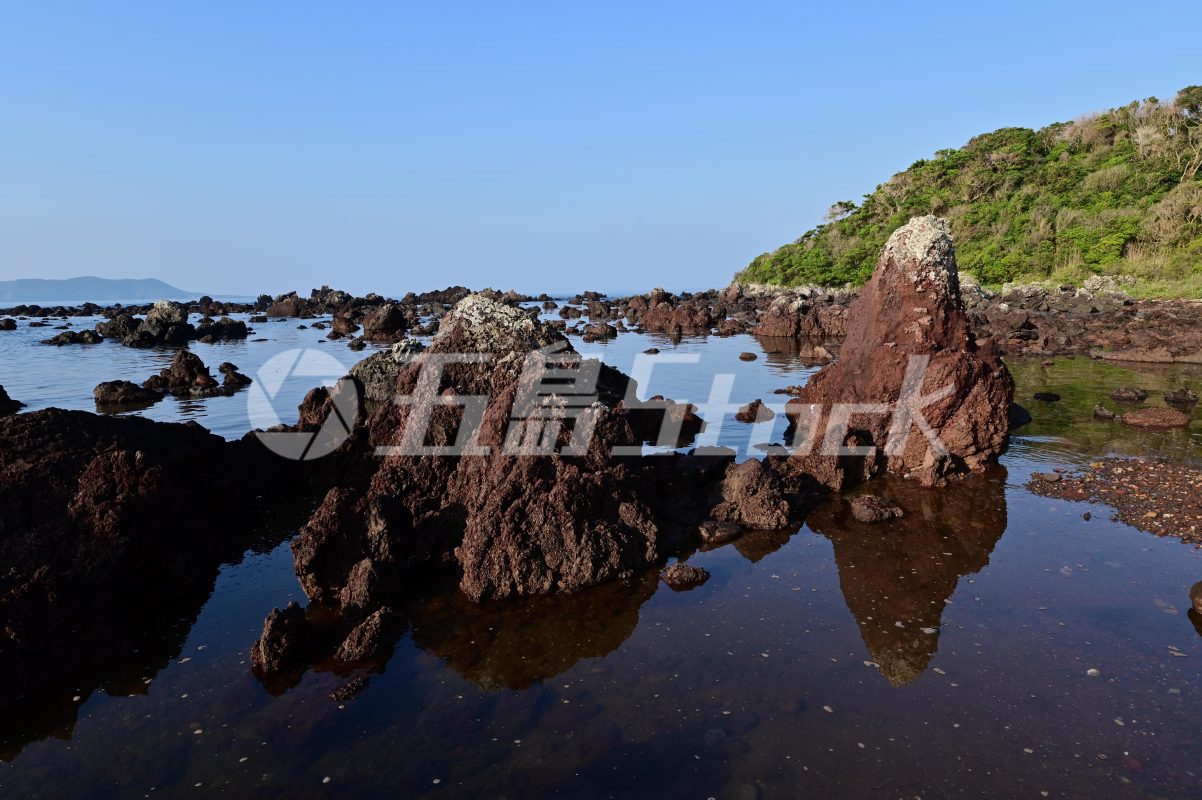 五島Stock