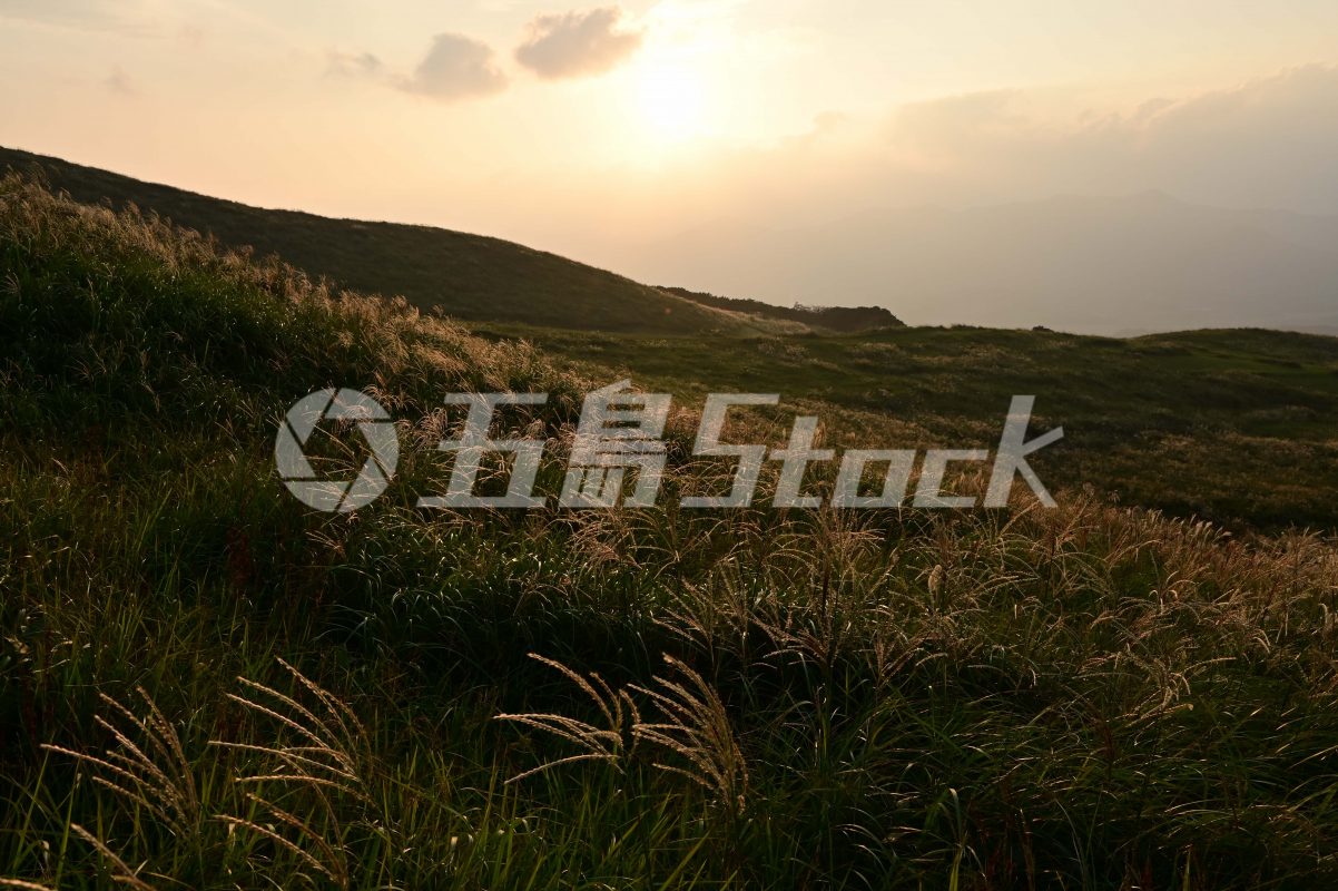五島Stock