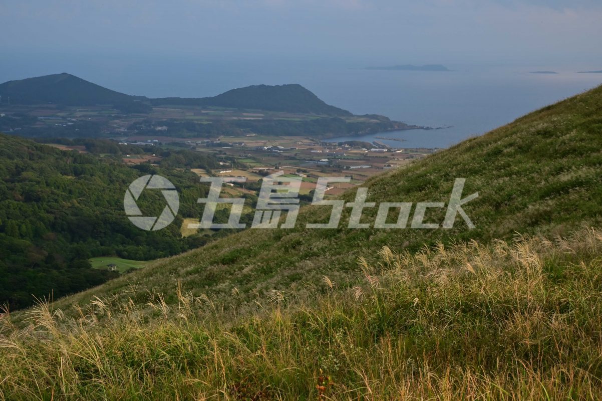五島Stock