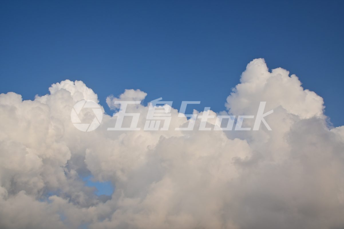 五島Stock