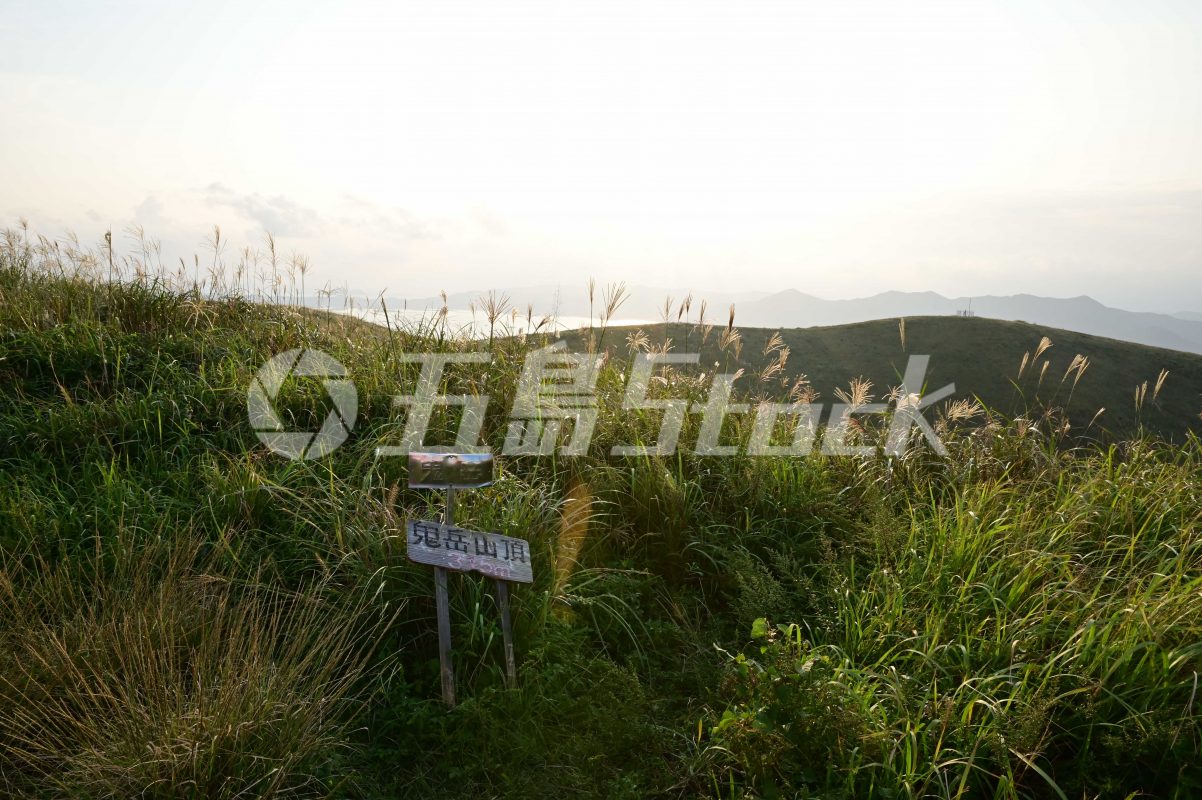 五島Stock