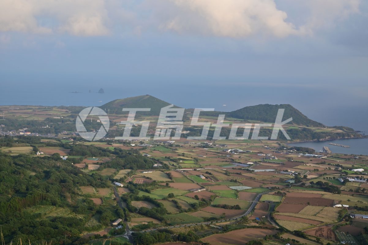 五島Stock