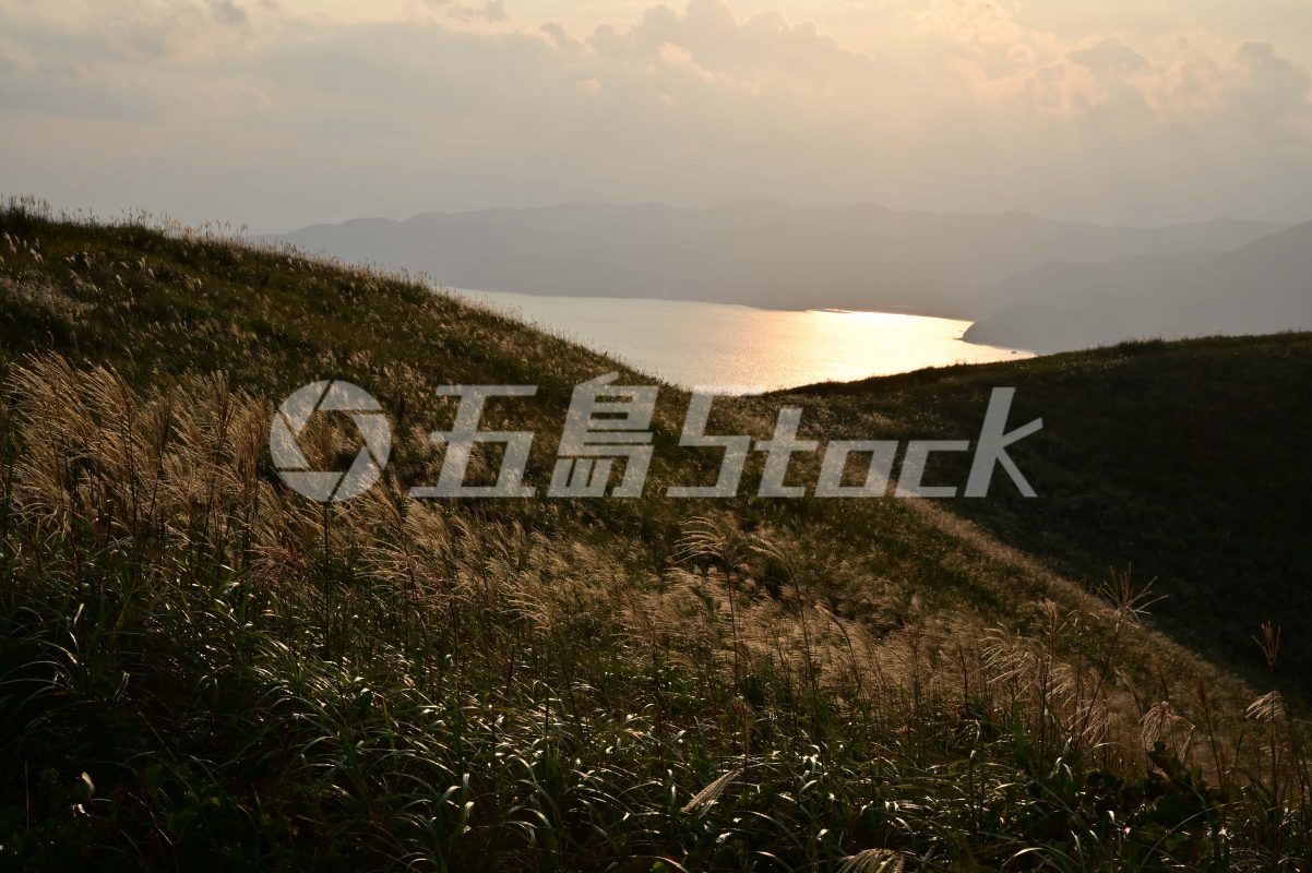 五島Stock