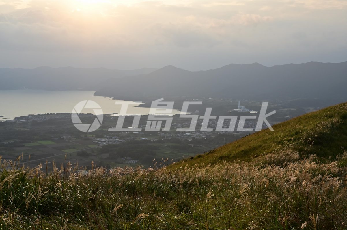 五島Stock